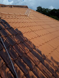 Roof Cleaning
